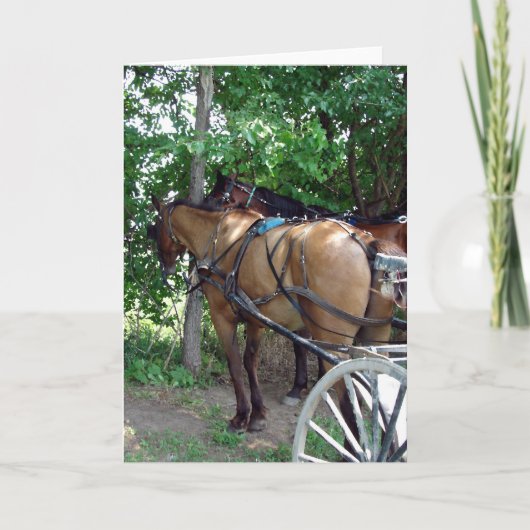 Pferde Karte (Vorderseite)