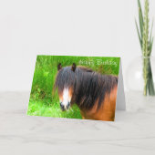 PFERDE KARTE (Vorderseite)