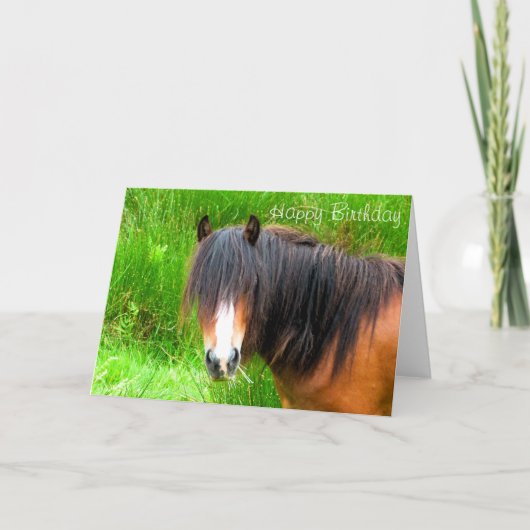 PFERDE KARTE (Vorderseite)