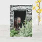 PFERDE KARTE (Gelbe Blume)