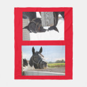 Pferde Kauen auf einem Zaun Fleecedecke (Vorderseite)