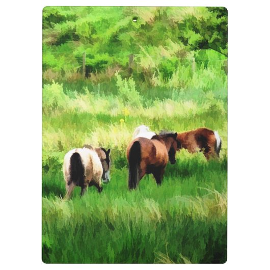 PFERDE KLEMMBRETT (Rückseite)