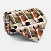 PFERDE KRAWATTE (Gerollt)