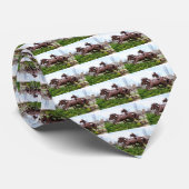 Pferde Krawatte (Gerollt)