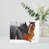 Pferde Küssen im Schnee Postkarte (Stehend Vorderseite)