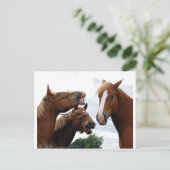 Pferde lachen postkarte (Stehend Vorderseite)