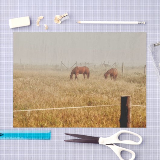 Pferde Land Rustikale Entdeckung Seidenpapier (Handwerk)