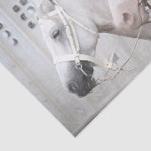 Pferde Land Rustikaler Weißbrauner Western Seidenpapier (Ausschnitt)