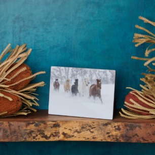 Pferde laufen durch den Schnee Fotoplatte