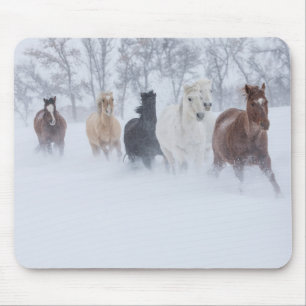 Pferde laufen durch den Schnee Mousepad