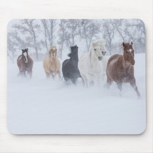 Pferde laufen durch den Schnee Mousepad (Vorne)