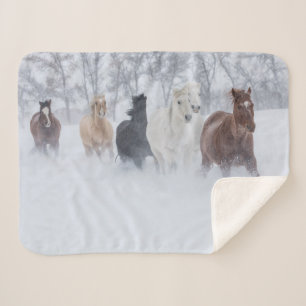 Pferde laufen durch den Schnee Sherpadecke
