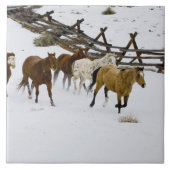 Pferde laufen im Schnee Fliese (Vorderseite)