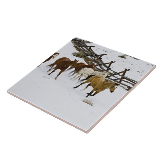 Pferde laufen im Schnee Fliese (Seite)