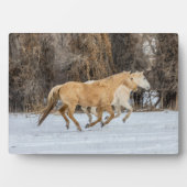 Pferde laufen im Schnee Fotoplatte (Vorderseite)