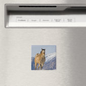 Pferde laufen im Schnee Magnet (In Situ (Geschirrspüler))