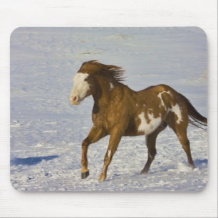 Pferde laufen im Schnee Mousepad