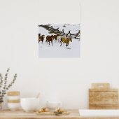 Pferde laufen im Schnee Poster (Küche)