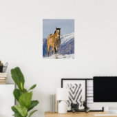 Pferde laufen im Schnee Poster (Heimbüro)