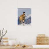 Pferde laufen im Schnee Poster (Küche)