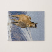 Pferde laufen im Schnee Puzzle (Horizontal)