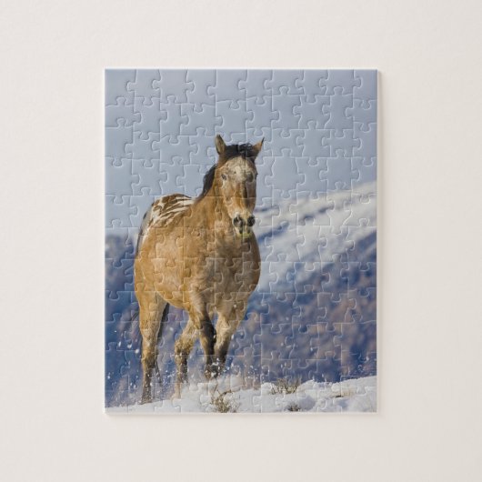 Pferde laufen im Schnee Puzzle (Vertikal)