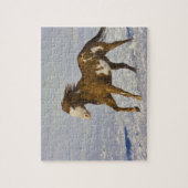 Pferde laufen im Schnee Puzzle (Vertikal)