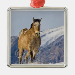 Pferde laufen im Schnee Silbernes Ornament