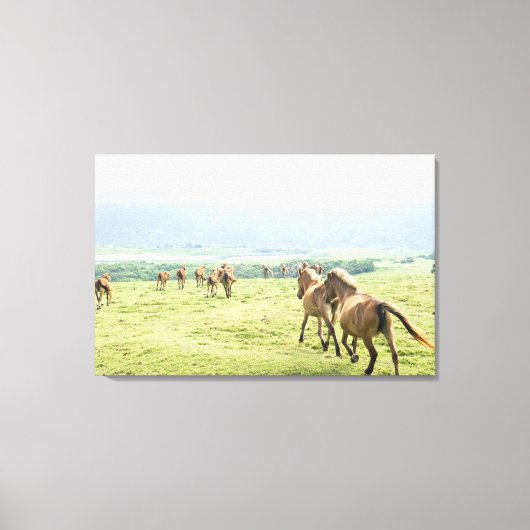 Pferde laufen leinwanddruck (Vorderseite)