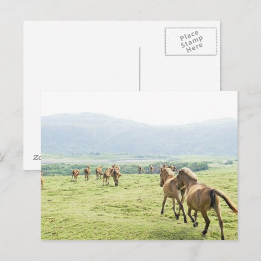 Pferde laufen postkarte (Vorne/Hinten)