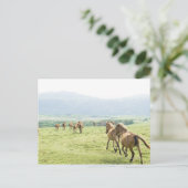 Pferde laufen postkarte (Stehend Vorderseite)