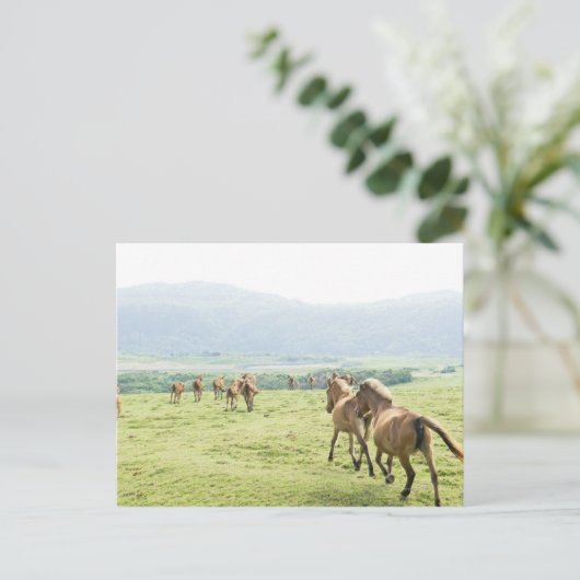 Pferde laufen postkarte (Stehend Vorderseite)