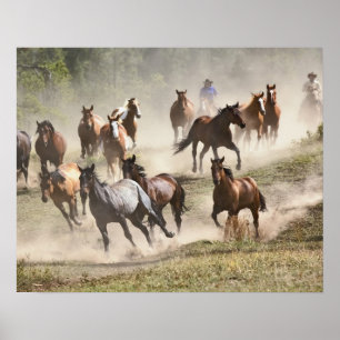 Pferde laufen während des Roundups, Montana Poster