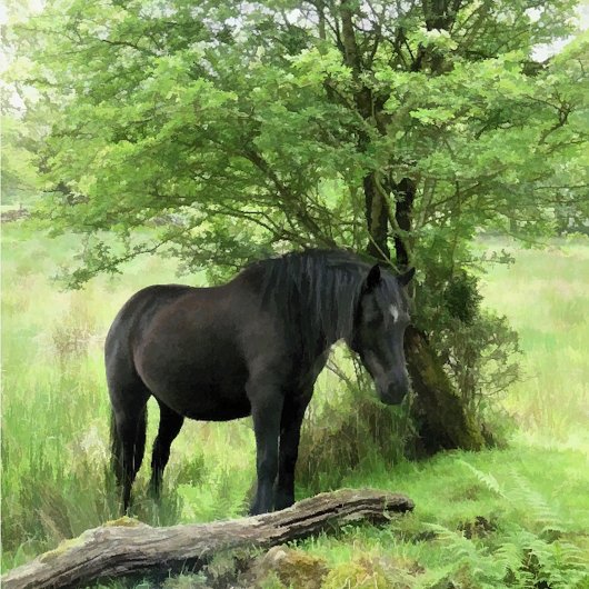 PFERDE LEINWANDDRUCK