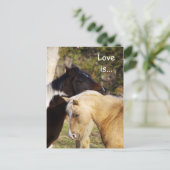 Pferde Liebe ist Postkarten (Stehend Vorderseite)