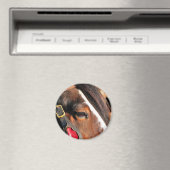 PFERDE MAGNET (In Situ (Geschirrspüler))