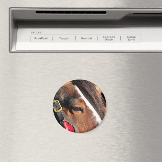 PFERDE MAGNET (In Situ (Geschirrspüler))