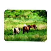 PFERDE MAGNET (Horizontal)