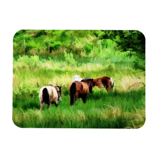 PFERDE MAGNET (Horizontal)