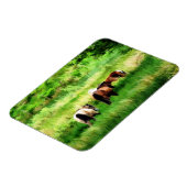 PFERDE MAGNET (Linke Seite)