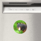 PFERDE MAGNET (In Situ (Geschirrspüler))