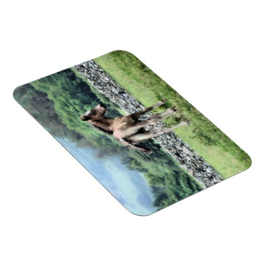 PFERDE MAGNET (Rechte Seite)