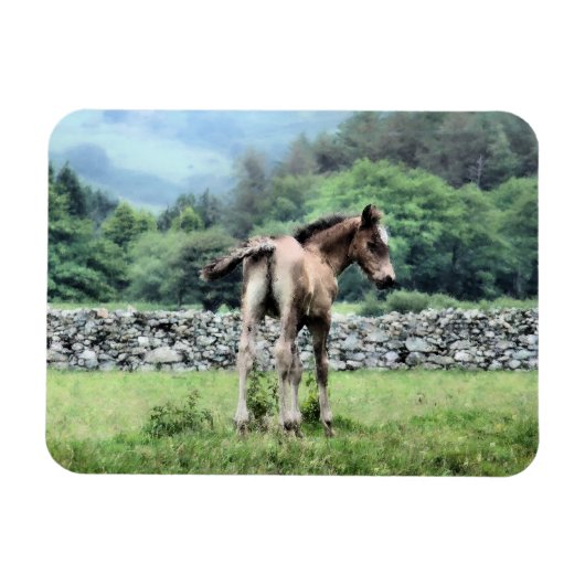 PFERDE MAGNET (Horizontal)