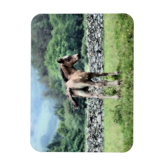 PFERDE MAGNET (Vertikal)