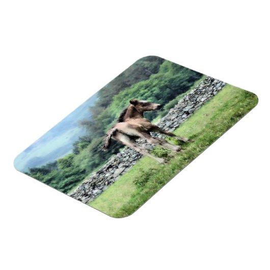 PFERDE MAGNET (Linke Seite)