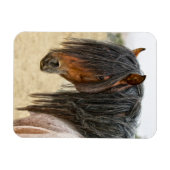 Pferde Magnet (Horizontal)