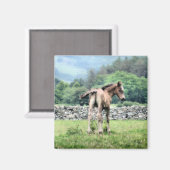 PFERDE MAGNET (Vorderseite/Rückseite)