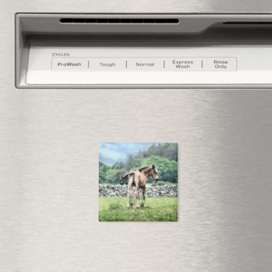 PFERDE MAGNET (In Situ (Geschirrspüler))