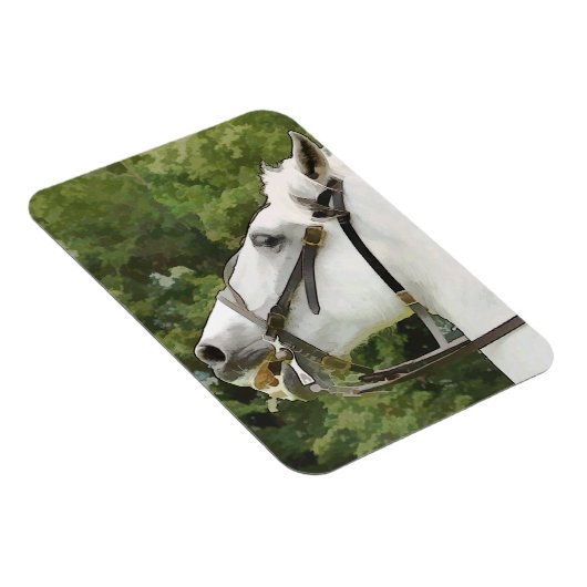 PFERDE MAGNET (Rechte Seite)