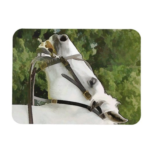 PFERDE MAGNET (Horizontal)